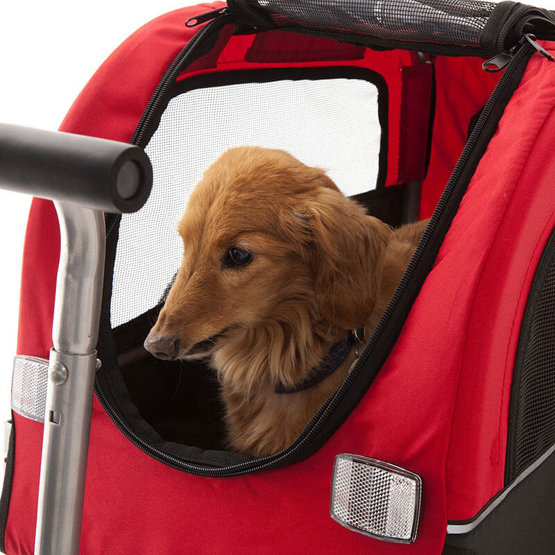 A shop dog carrier